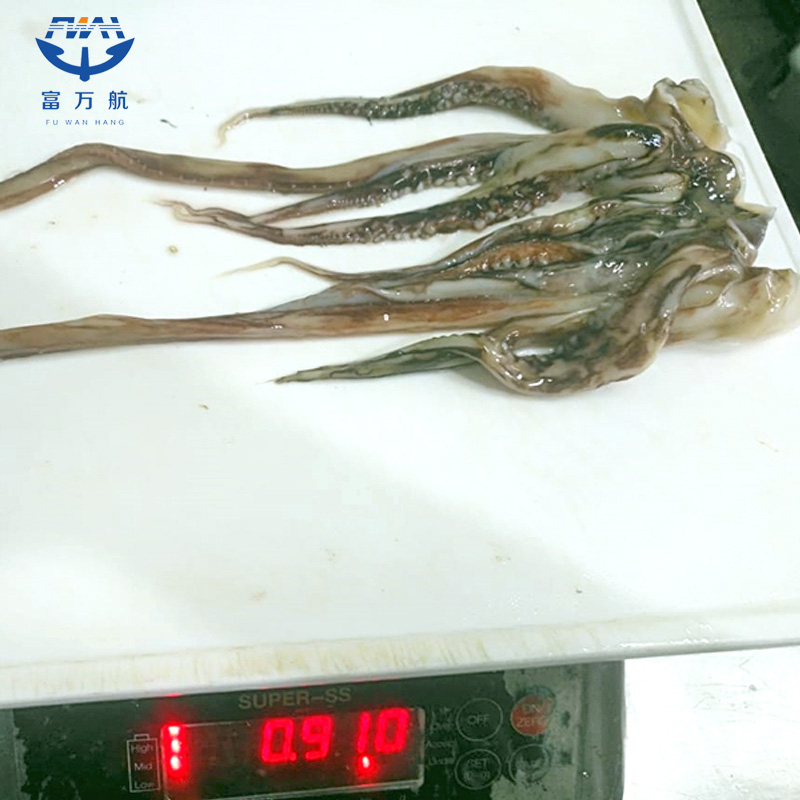 Frozen Seafood Giant Equator Squid Tentacle