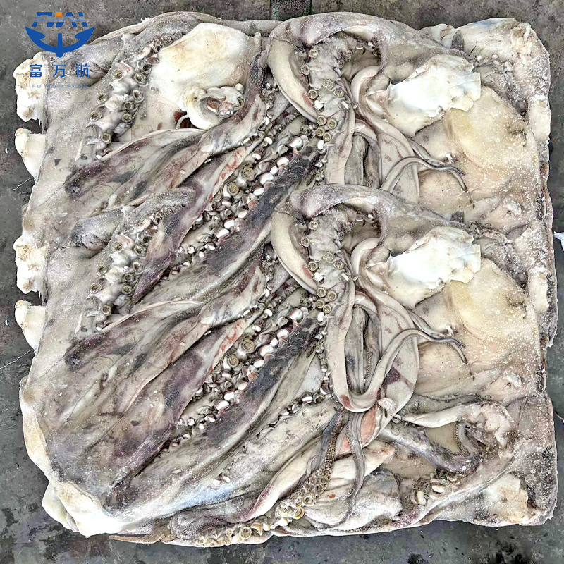 냉동 거대 오징어 촉수
