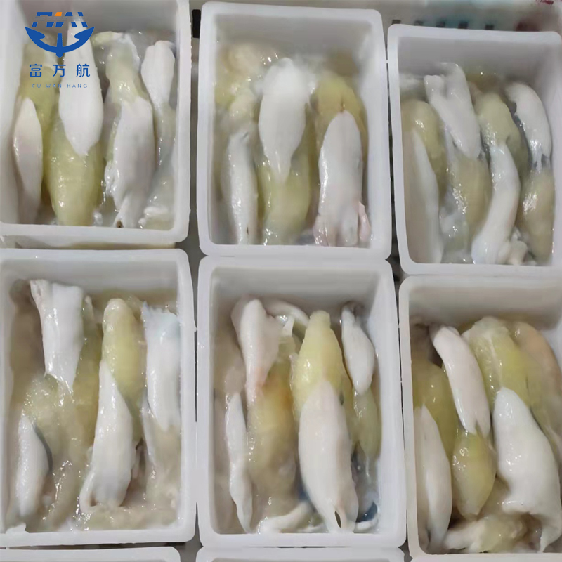 frozen illex squid egg