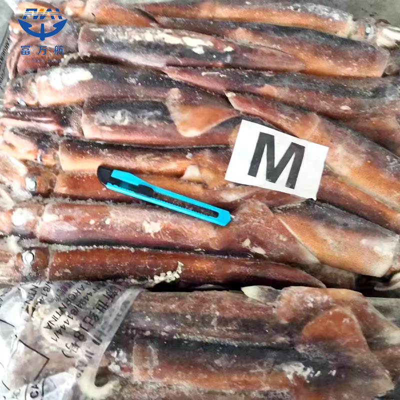 Frozen illex squid