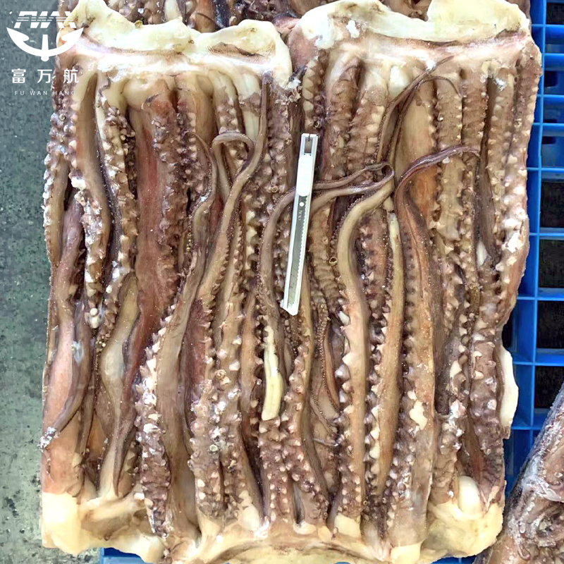 Squid tentacle/squid head