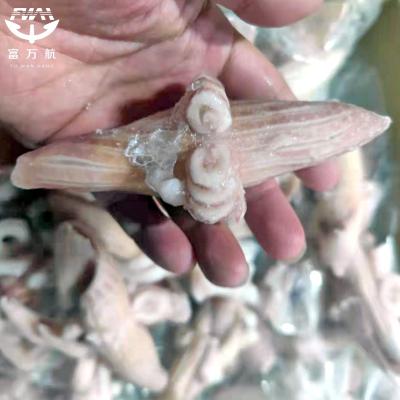 Frozen Seafood Indian Ocean Squid Wing Flower