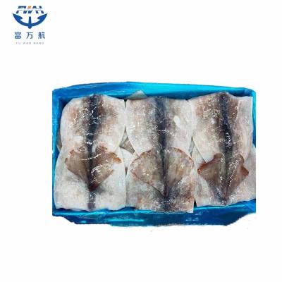 Wholesale Frozen Squid Fillet With Wing