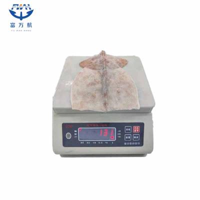 Wholesale Frozen Giant Squid Fillet With Wing