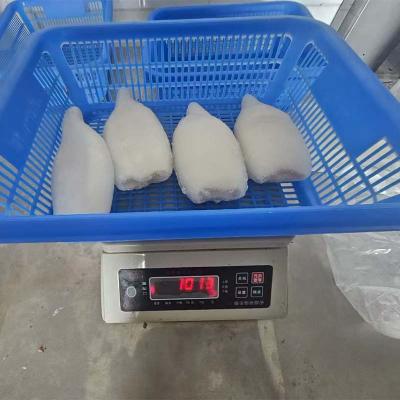 New Process Skinless Squid Giant Tube