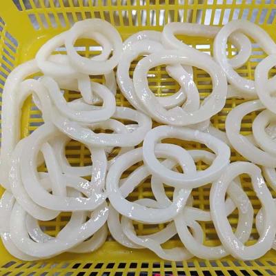 New Process Skinless Giant Squid Ring