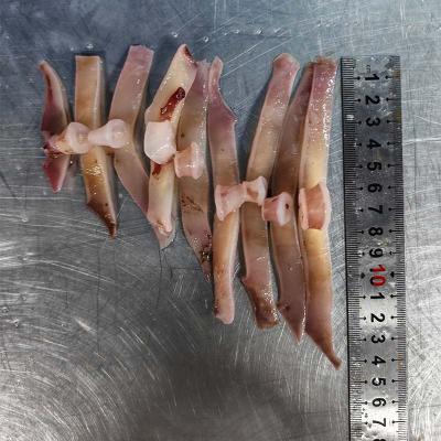 Frozen Seafood Squid Wing Strips