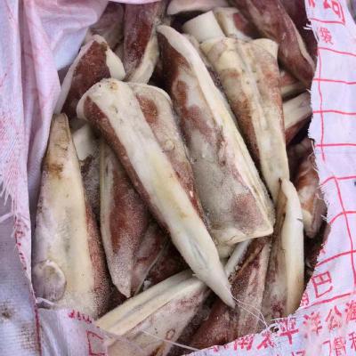 BQF Giant Squid Tail