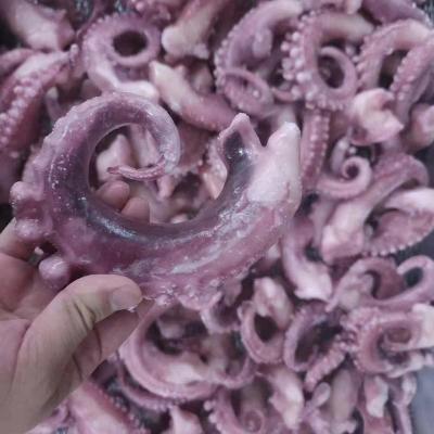 IQF Seafood Squid Tentacle Export