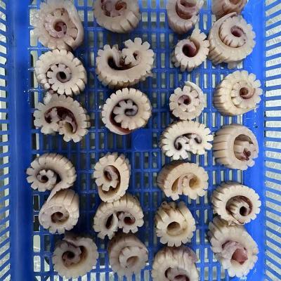 Frozen Seafood Giant Peru Squid Wing Flower