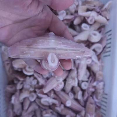Frozen Seafood Indian Ocean Squid Wing Flower