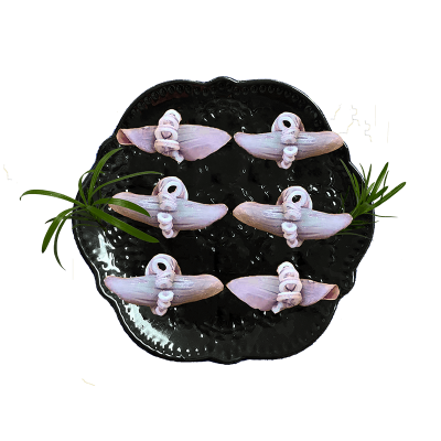 Frozen Seafood Indian Ocean Squid Wing Flower
