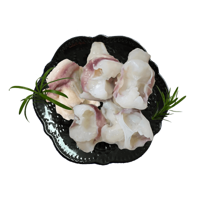 Frozen Seafood Equator Gigas Squid Neck