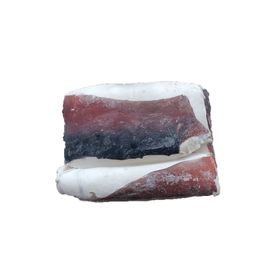 Sea Frozen Seafood Indian Ocean Squid Fillet