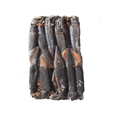 Frozen Equator Gigas Squid Export
