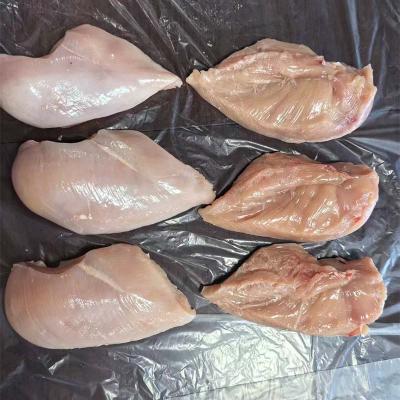 Frozen Chicken Meat