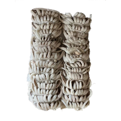  Frozen Cuttlefish Tentacle