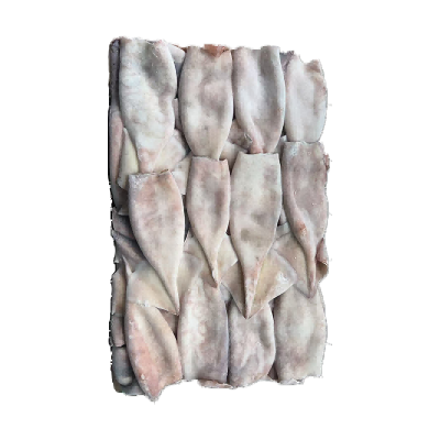 Illex Squid Dirty Tube