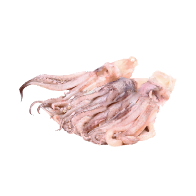 Frozen Seafood Small Size Indian Ocean Squid Head