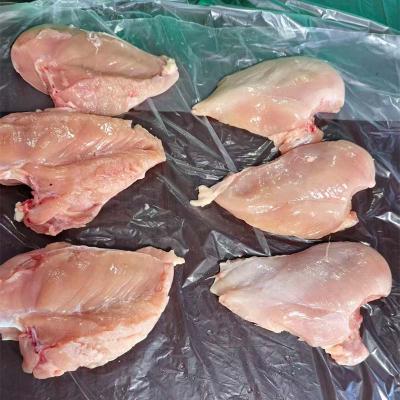 Frozen Chicken Meat
